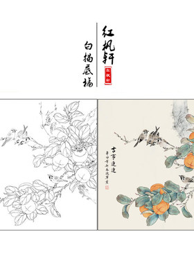 临摹工笔画白描底稿动物小民