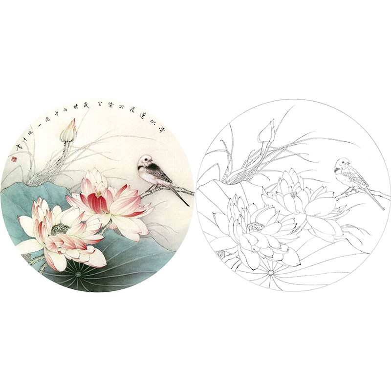 【有步骤】临李俊才《不染尘》荷花鸟团扇小品初学工笔画白描底稿