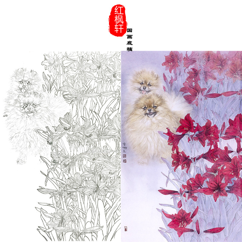 【有步骤】临李喆动物小狗《灵气》工笔画国画花鸟朱顶红白描底稿