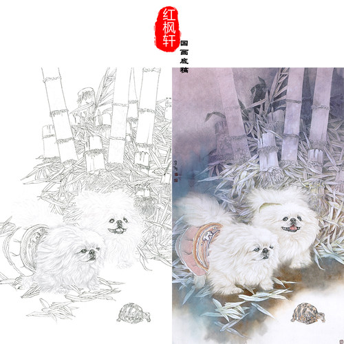 有步骤国画牡丹白描底稿花鸟
