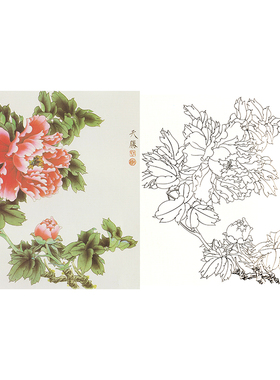 有步骤花鸟国画白描底稿小品牡丹