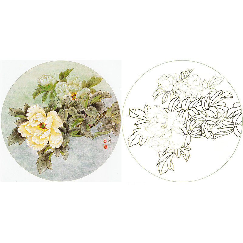 【有步骤】临田希丰工笔画白描底稿团扇小品白牡丹国画线描打印稿