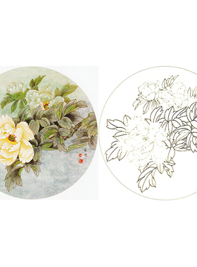 【有步骤】临田希丰工笔画白描底稿团扇小品白牡丹国画线描打印稿