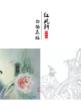 工笔画白描底稿小民花鸟相望