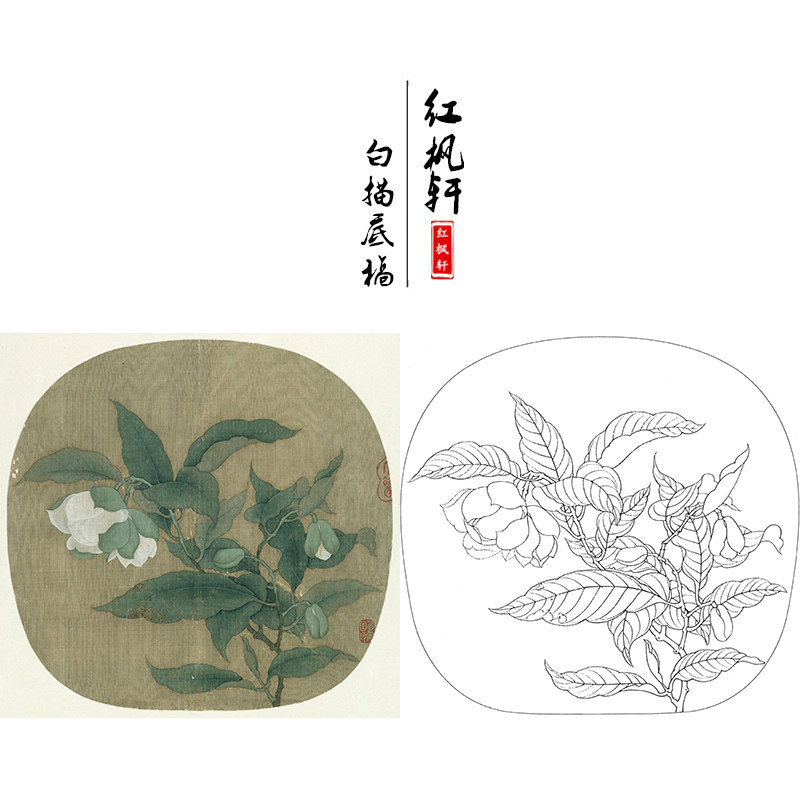 国画学习线描底稿临宋佚名花鸟小品《夜合花图》页工笔画白描底稿