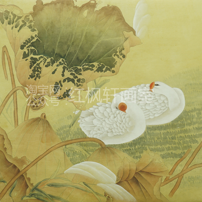 精品纯手绘工笔画白描底稿白鹅荷花花鸟国画高清素材儿童线描画稿