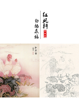 工笔画白描底稿小民花鸟相望
