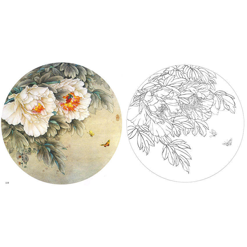 国画花鸟工笔画白描底稿团扇牡丹《天香》初学者临摹打印线描画稿