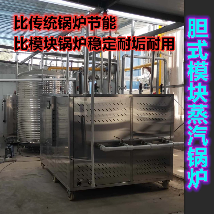 低氮燃气蒸汽锅炉商用天然气液化气蒸汽发生器工业全自动蒸汽机