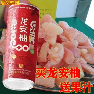 正宗广安龙安柚红心柚大个6个装礼盒30年老树柚子正当季现摘现发