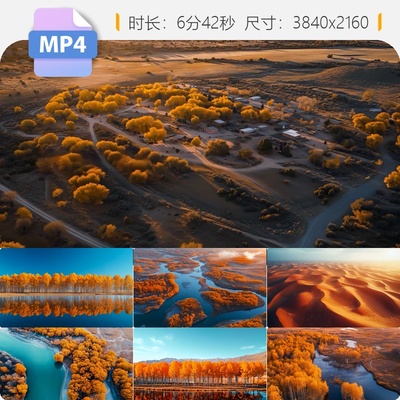 高清阿拉善额济纳旗胡杨林秋天航拍沙漠金塔黑水城唯美视频素材