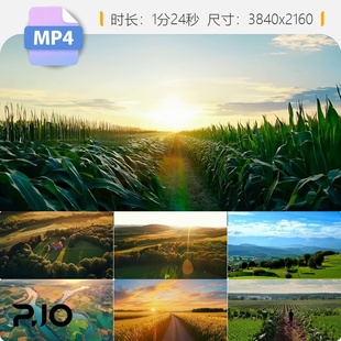 高清农村田野风光万亩良田稻麦种植美丽航拍振兴延时丰收视频素材