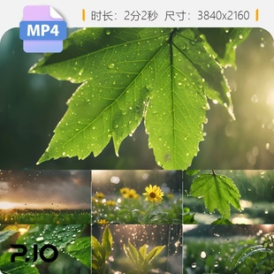 高清水滴绿叶大自然植物珠湖面金色夕阳生态森林晶莹剔频素材
