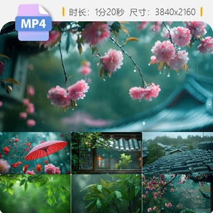 高清春雨谷雨古风意境原创烟雨江南禅意视频素材