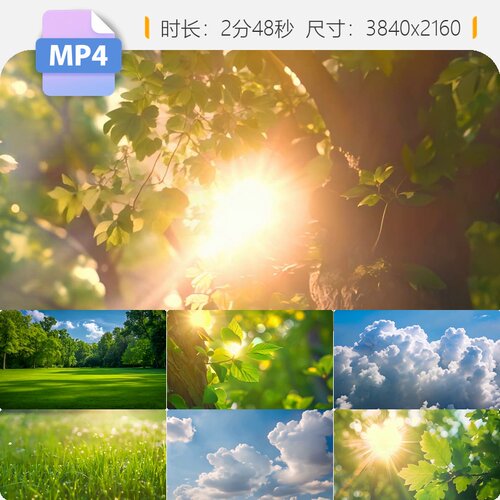 高清清晨阳光穿过树叶草地唯美意境蓝天白云自然风景视频素材