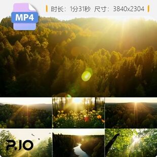 高清清晨森林阳光航拍树影自然意境环溪水生态呼吸丁达尔视频素材