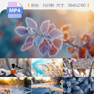 高清元旦冬至雪景森林暖阳冰树挂航拍中国兴安岭苍茫山舞视频素材