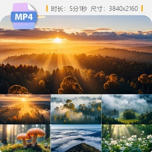 高清航拍原始大森林氧吧合集树云海晨雾山绿水青生态环境视频素材