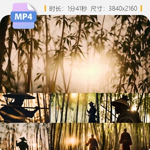 高清武当少林武侠中国功夫竹林风禅意江湖浪迹锦衣卫捕快视频素材
