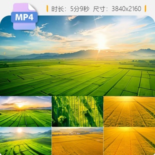 高清农田田野耕地稻麦航拍美丽乡村青山绿水万亩作物延时视频素材