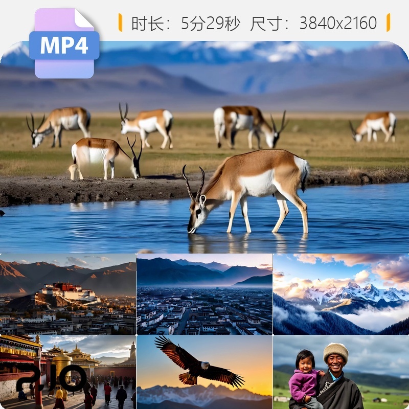 高清西藏布达拉宫萨宣传片人文自然风光雪山化教青铁路视频素材