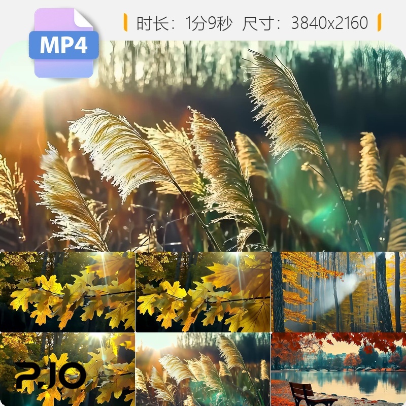 高清金秋深秋唯美枫叶银杏红树林阳光纯净大自然风景意境视频素材