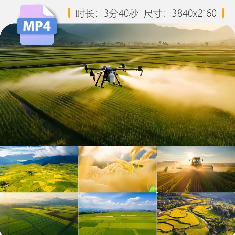 高清农业科技水稻小麦丰收智慧乡村数字种植无人机航拍视频素材