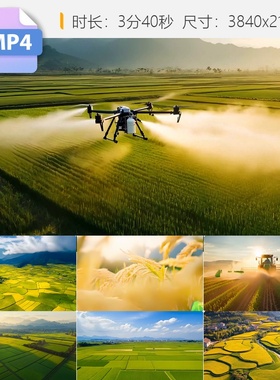 高清农业科技水稻小麦丰收智慧乡村数字种植无人机航拍视频素材