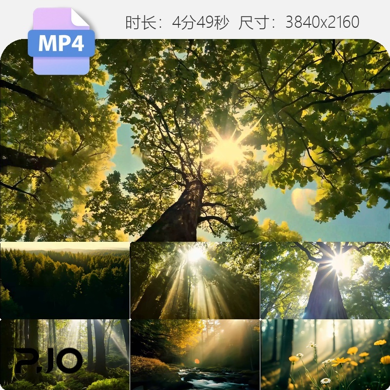 高清阳光森林自然云雾生态航拍清新木影小溪野生动物梦幻视频素材