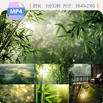 高清清晨竹林阳光穿过竹叶竹海禅意庭院中式美学小径自然视频素材