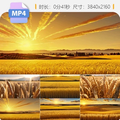 高清9个麦田丰收麦浪金秋航拍鸟瞰俯视阳光晚霞风吹麦子视频素材