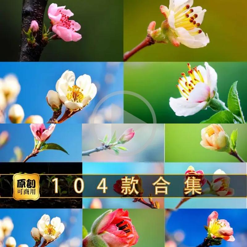 高清春暖花开万物复苏延时摄影记录种子破土而出绽放生命视频素材