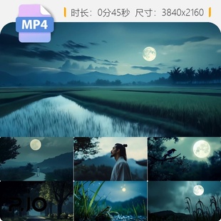 高清宋辛弃疾西江月夜行黄沙道中稻花香蛙声星雨乡村诗意视频素材