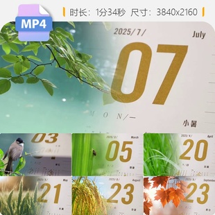 高清2026二十四节气立春雨水惊蛰春分清明谷雨夏至小满芒视频素材