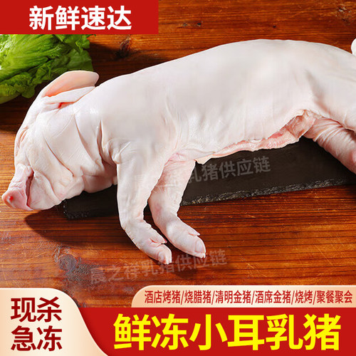 冻乳猪新鲜去内脏去毛干净