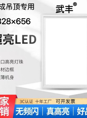 328x656今顶巨奥适用集成吊顶厨房嵌入式LED照明平板灯32.8*65.6