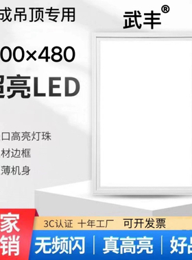 200x480集成吊顶灯LED平板灯厨房卫生间铝扣板嵌入式led灯具20*48