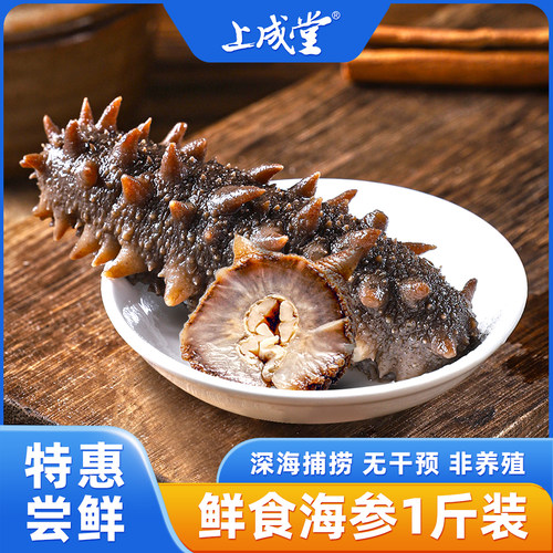 冷蒸大连即食海参上成堂深海底播