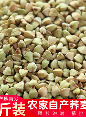 东北荞麦仁去皮乔麦米纯荞麦粒新米三角米去壳五谷杂粮粥主食批发