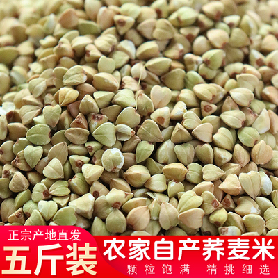 新磨东北荞麦仁去皮乔麦米