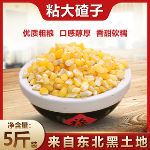 东北粘大碴子25年新货农家自产粗粮粘玉米糁粘糯大碴粥五谷杂粮