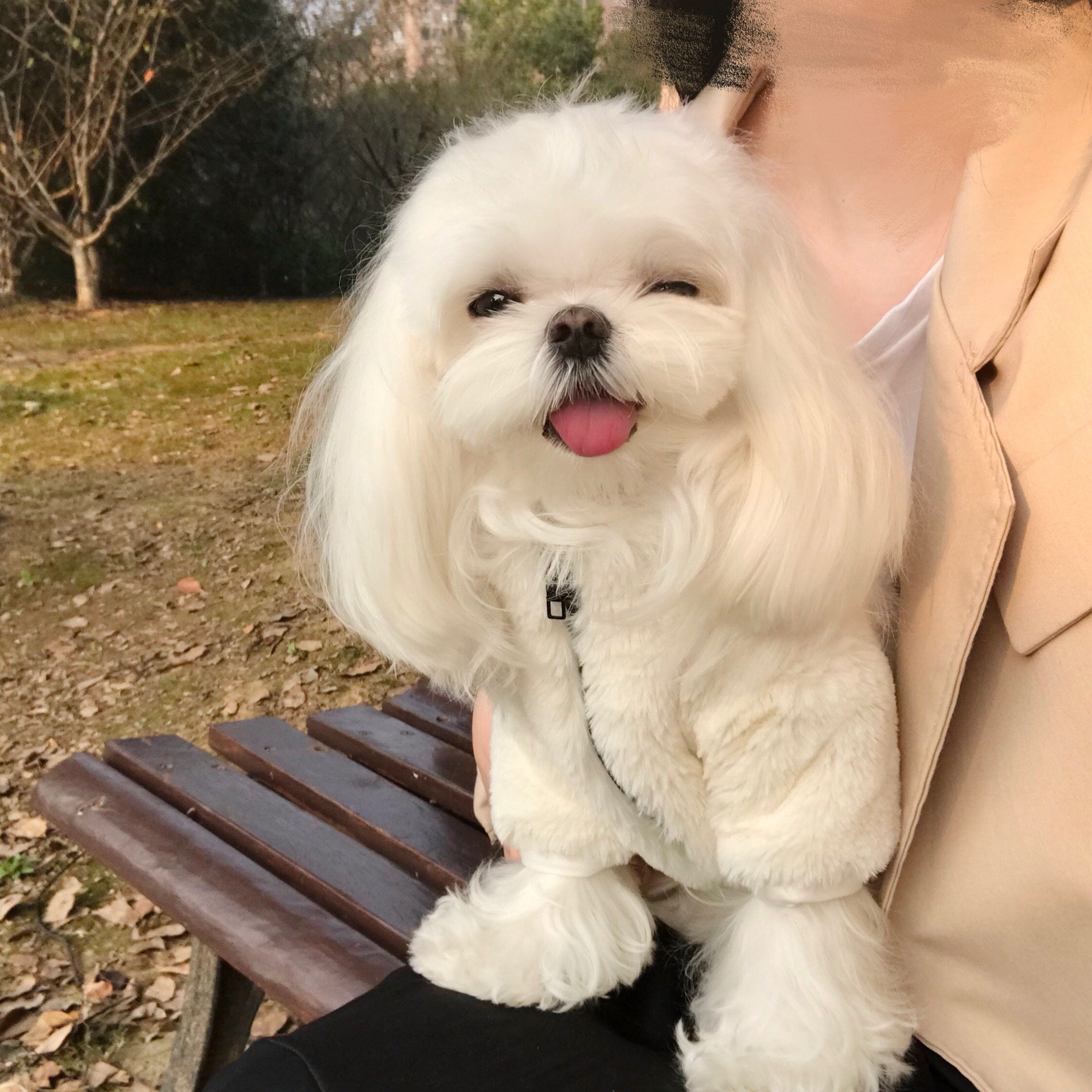 unleashed兔毛长袖韩国ins马尔济斯保暖棉袄猫狗外套宠物衣服秋冬