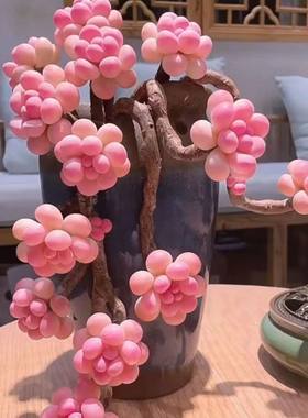 粉色桃蛋群生花卉盆栽防辐射