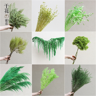 绿色永生花芦苇杆花束干花高级感真花场景布置女装店前台橱窗插花