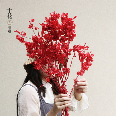 永生花迎客豆年宵花蝴蝶花过新年客厅婚房乔迁喜庆装饰插花真花