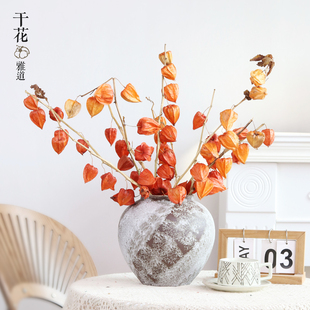 秋色自然酸浆果灯笼果干花花束真花红色喜庆果子果实茶壶设计摆件