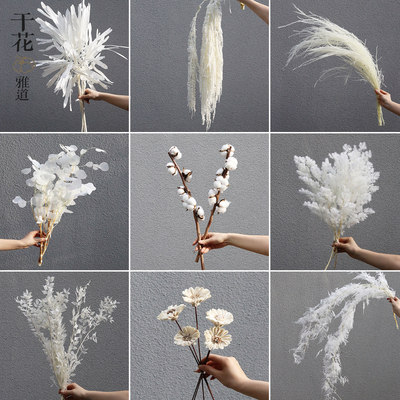 白色干花极简真花花束摆件装饰侘寂风蓬莱松龙须草粉黛满天星棉花