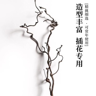 龙枣枝中日式插花材料天然干树枝侘寂风家居室内枯枝摆件造型装饰