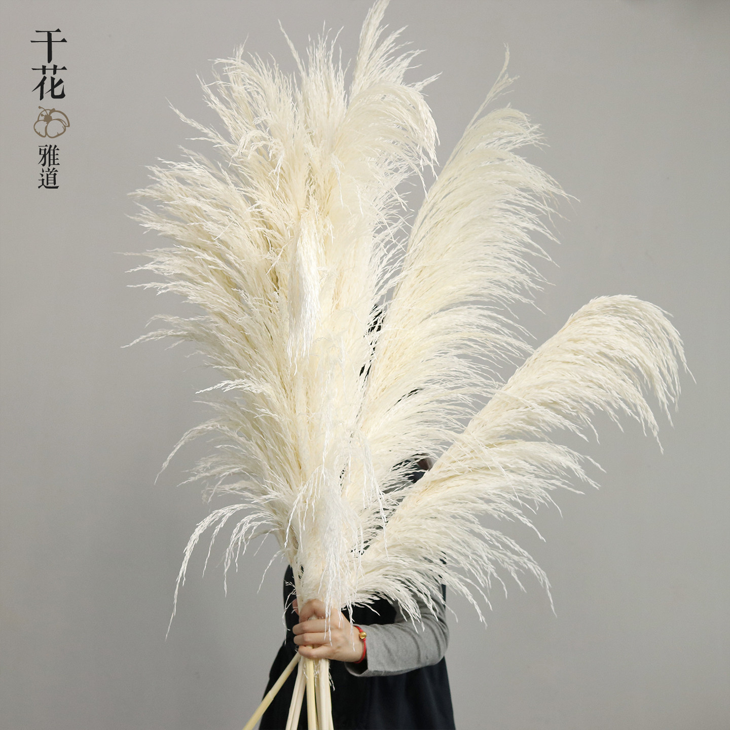 白色垂感大芦苇干花 落地大花瓶装饰店铺陈列婚礼用花材拍照背景