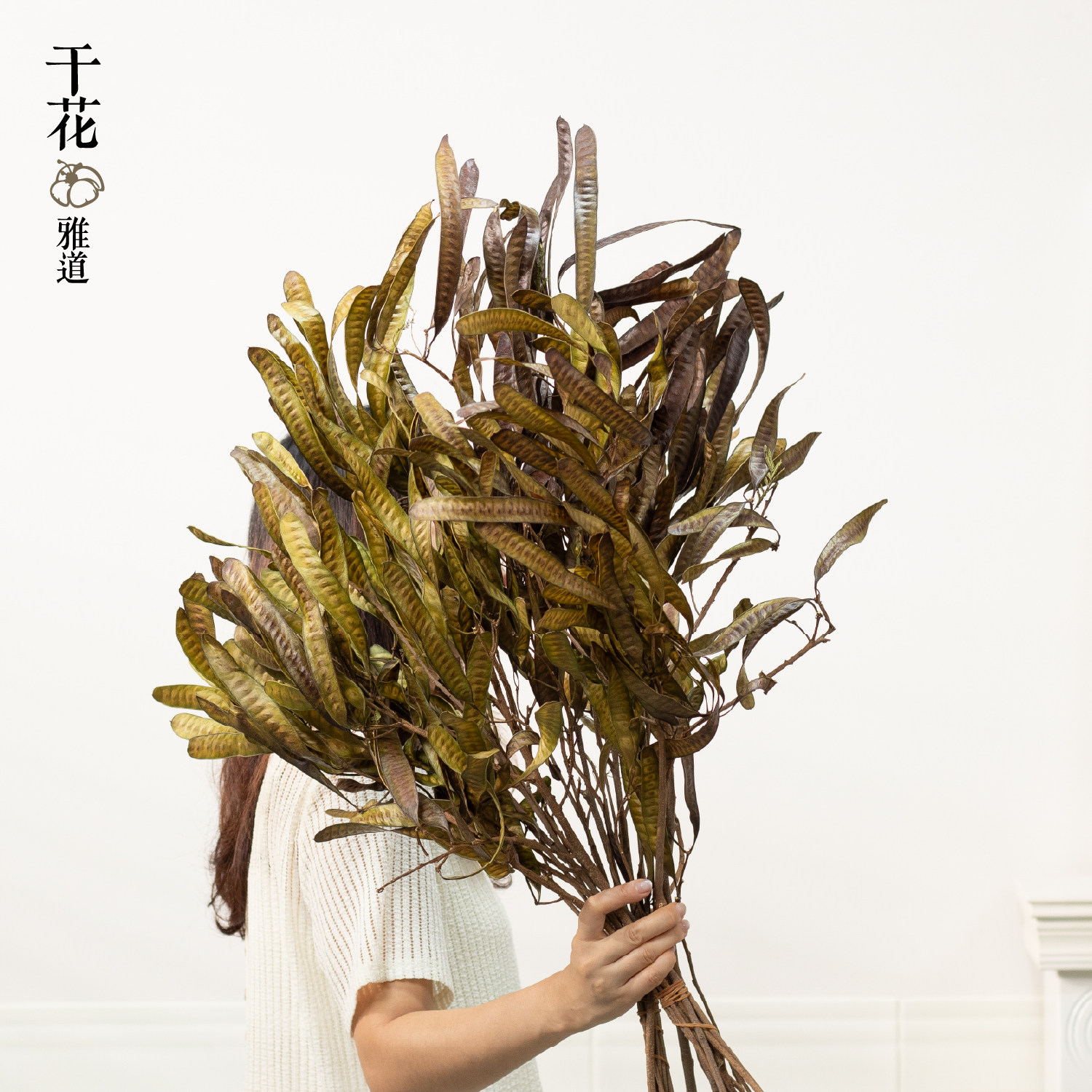 豆荚扁豆干花花束天然风干真花干枝民宿酒店软装复古森系花材装饰